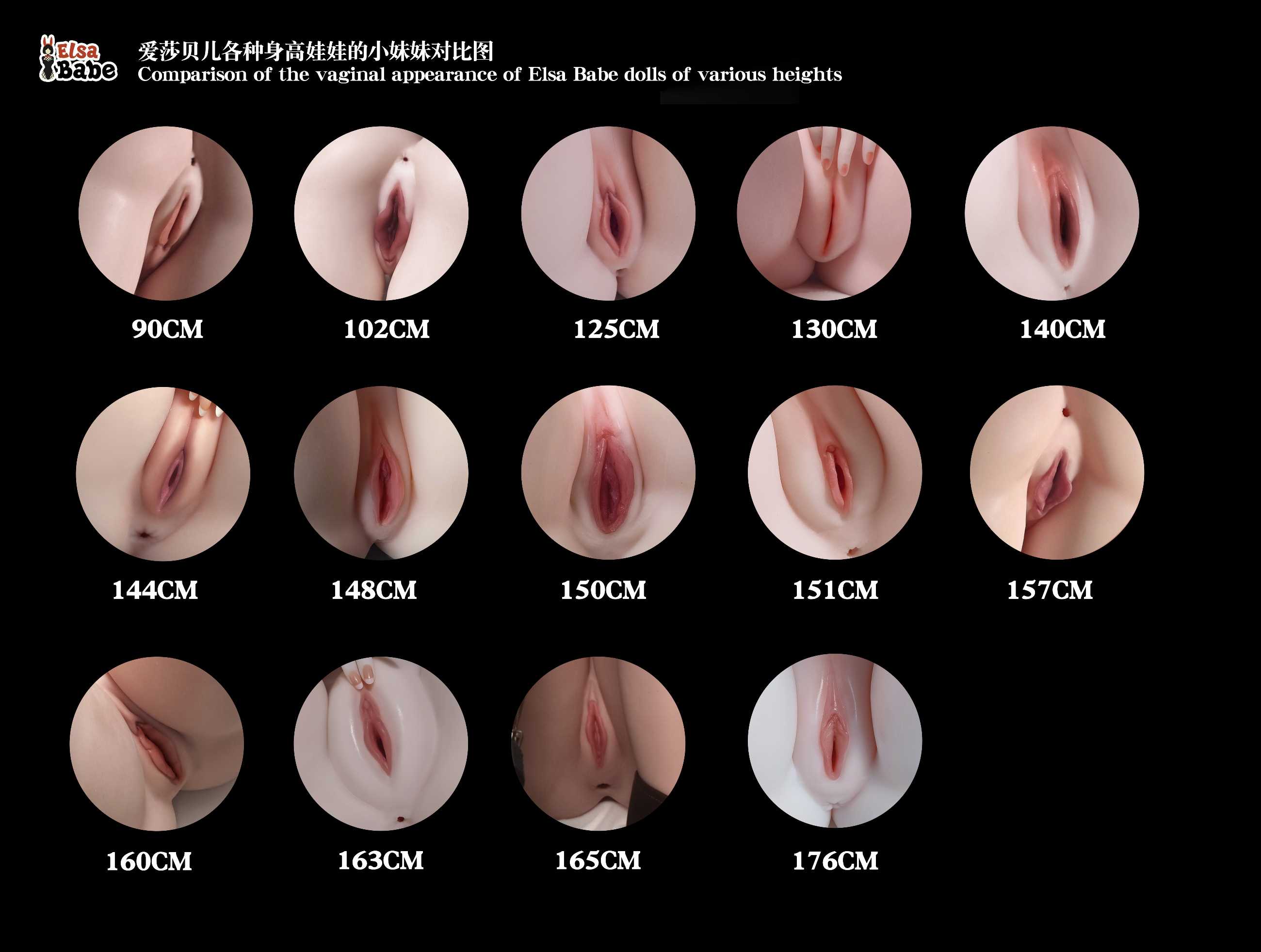 1-Comparison of the vaginal appearance of Elsa Babe dolls of various heights.jpg