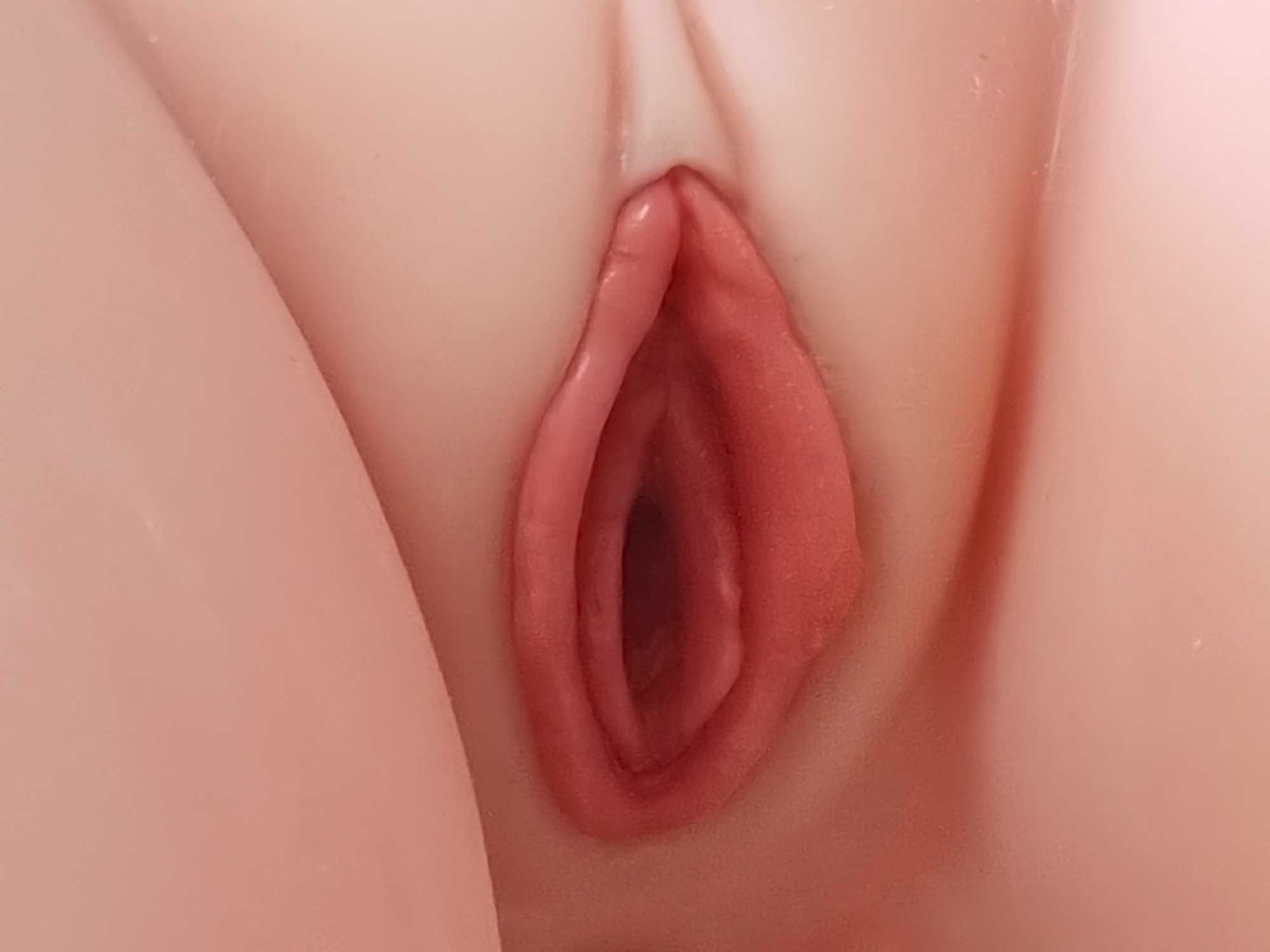 5-Removable cavities-2.jpg